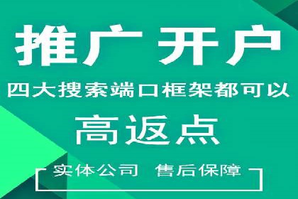 百度竞价广告投放案例剖析
